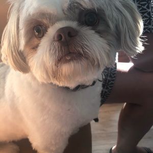 Meet your Posher, Marilyn